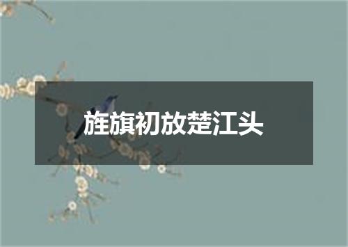 旌旗初放楚江头