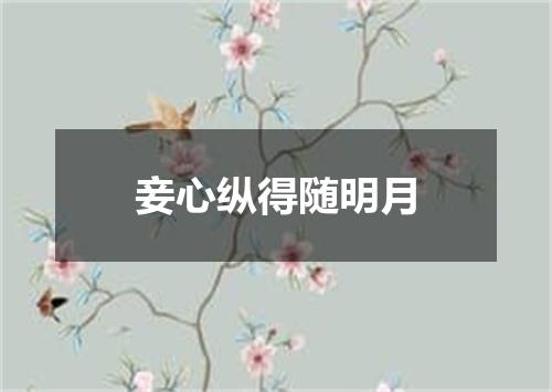 妾心纵得随明月