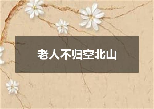 老人不归空北山