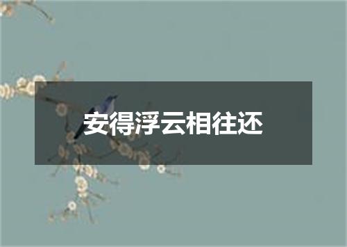 安得浮云相往还