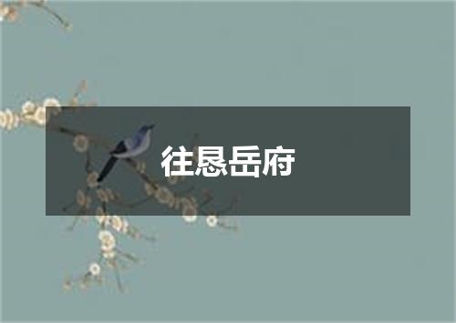 往恳岳府