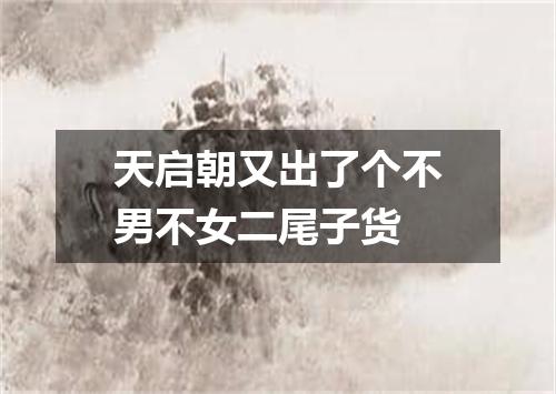 天启朝又出了个不男不女二尾子货