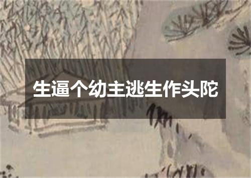 生逼个幼主逃生作头陀