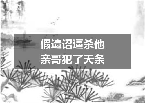 假遗诏逼杀他亲哥犯了天条