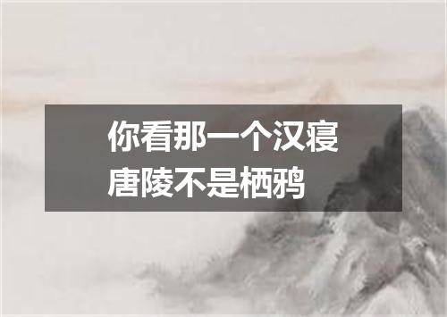 你看那一个汉寝唐陵不是栖鸦