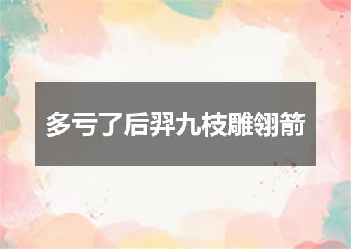 多亏了后羿九枝雕翎箭