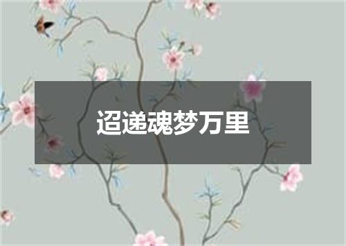 迢递魂梦万里