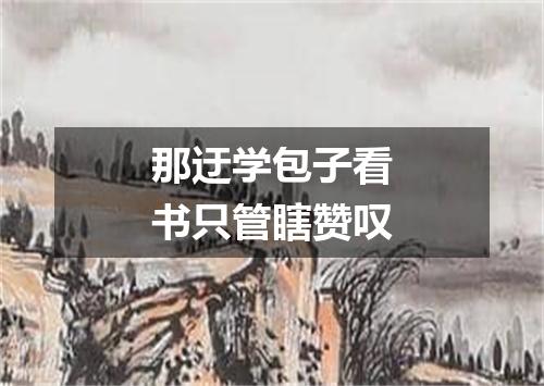 那迂学包子看书只管瞎赞叹