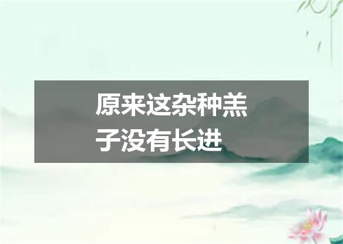 原来这杂种羔子没有长进