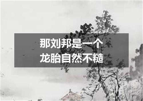 那刘邦是一个龙胎自然不糙