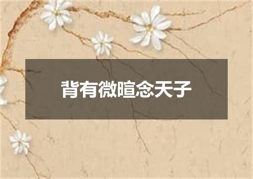 背有微暄念天子