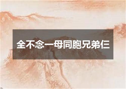 全不念一母同胞兄弟仨