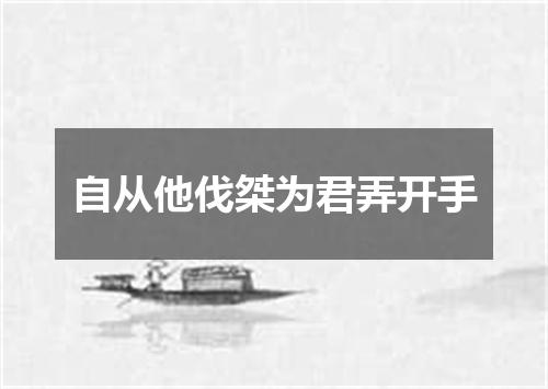 自从他伐桀为君弄开手