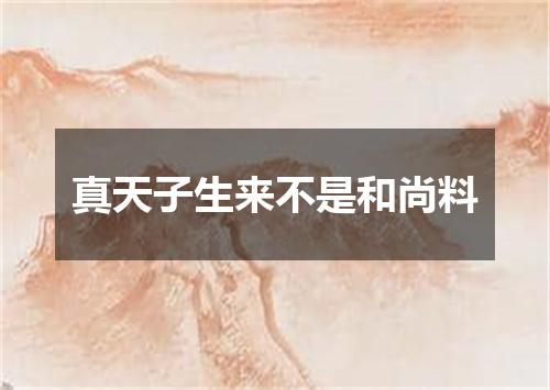 真天子生来不是和尚料