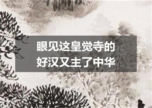 眼见这皇觉寺的好汉又主了中华