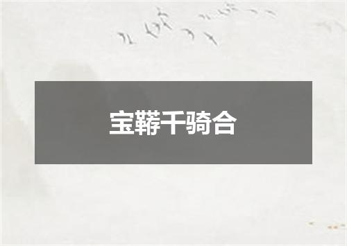 宝鞯千骑合