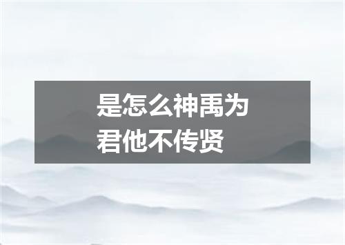 是怎么神禹为君他不传贤