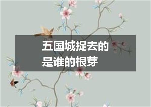 五国城捉去的是谁的根芽