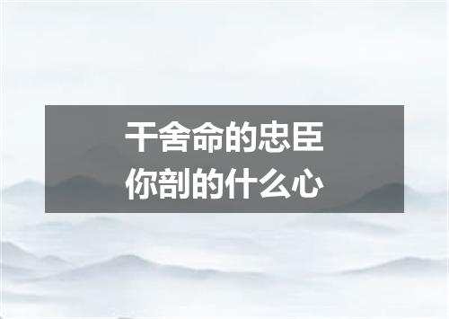 干舍命的忠臣你剖的什么心