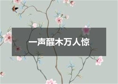 一声醒木万人惊