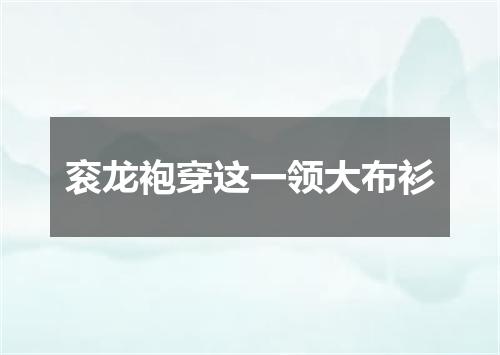 衮龙袍穿这一领大布衫
