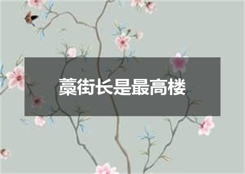 藁街长是最高楼
