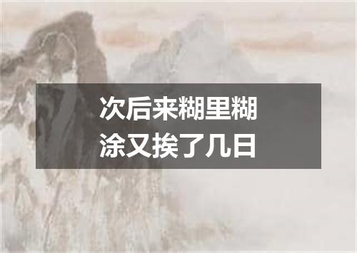 次后来糊里糊涂又挨了几日