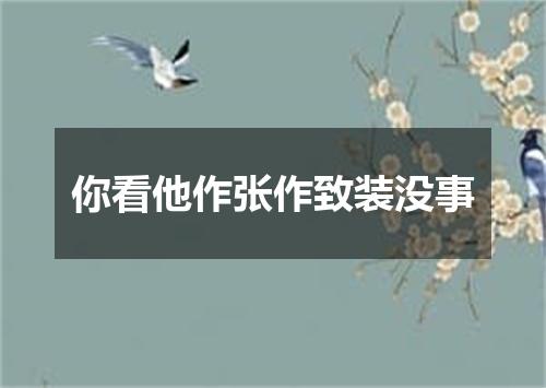 你看他作张作致装没事