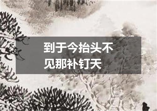 到于今抬头不见那补钉天