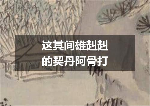 这其间雄赳赳的契丹阿骨打