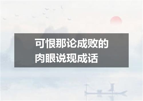 可恨那论成败的肉眼说现成话