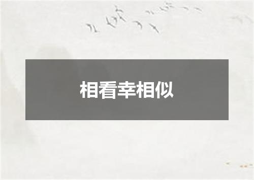 相看幸相似