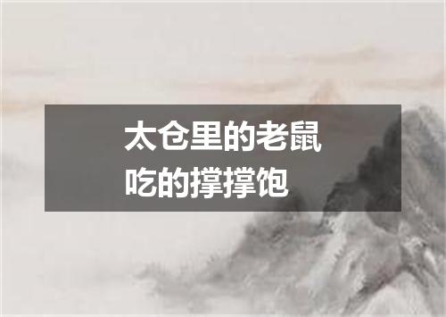 太仓里的老鼠吃的撑撑饱