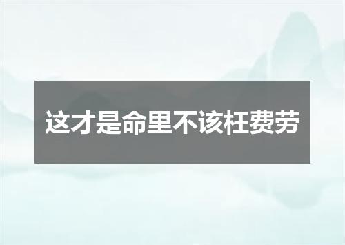 这才是命里不该枉费劳