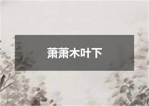 萧萧木叶下
