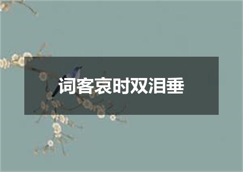 词客哀时双泪垂