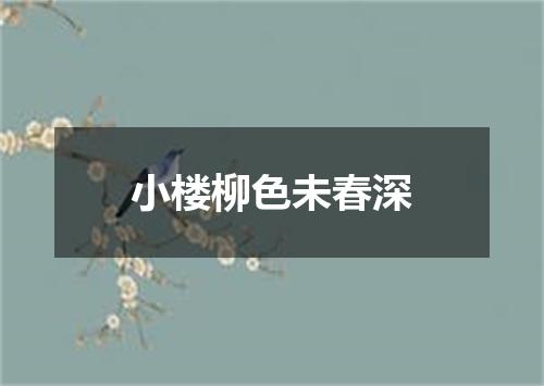 小楼柳色未春深
