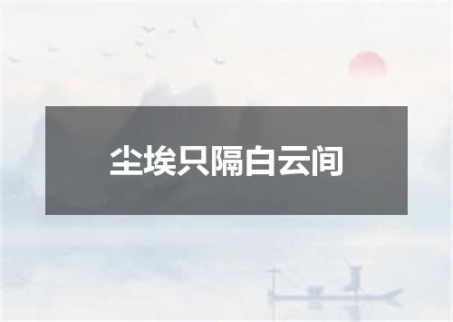 尘埃只隔白云间