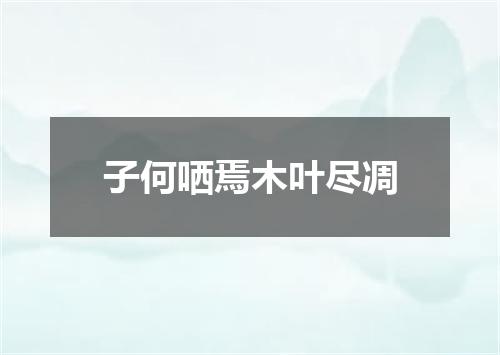 子何哂焉木叶尽凋