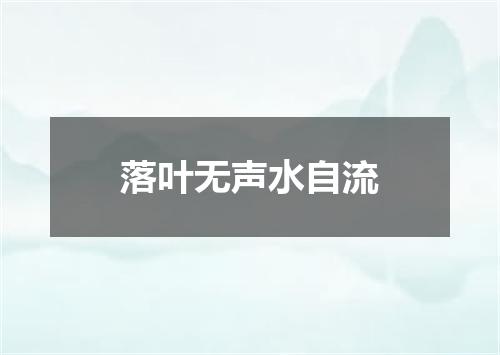 落叶无声水自流