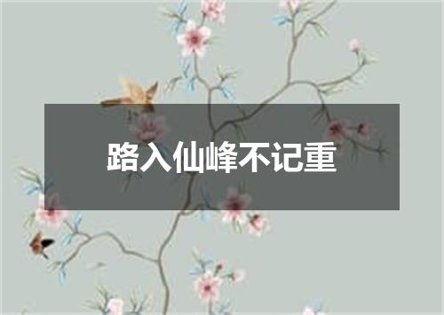 路入仙峰不记重