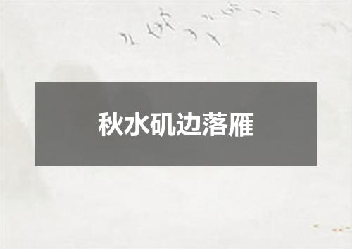 秋水矶边落雁