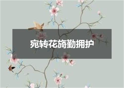 宛转花旖勤拥护