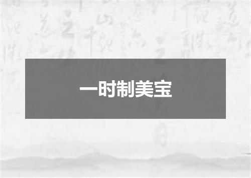 一时制美宝