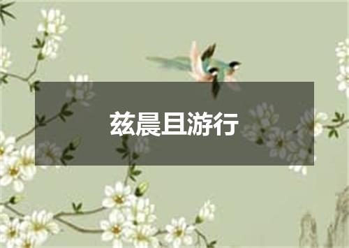 兹晨且游行