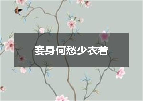 妾身何愁少衣着