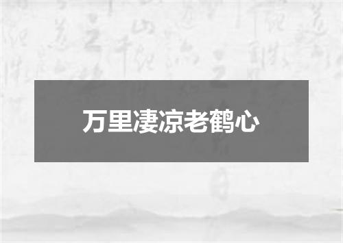 万里凄凉老鹤心