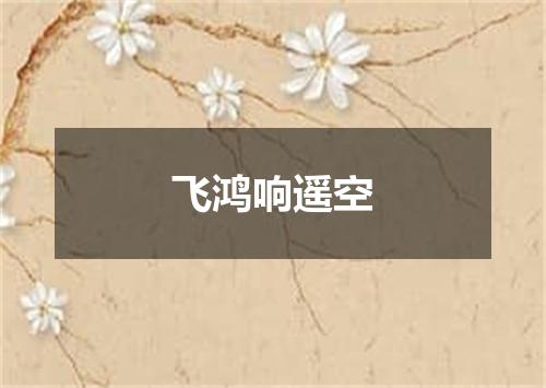 飞鸿响遥空