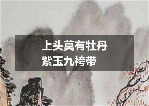 上头莫有牡丹紫玉九袴带