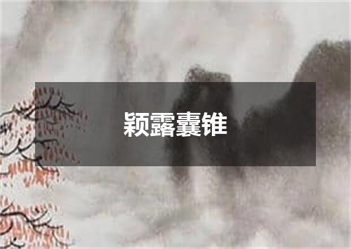 颖露囊锥